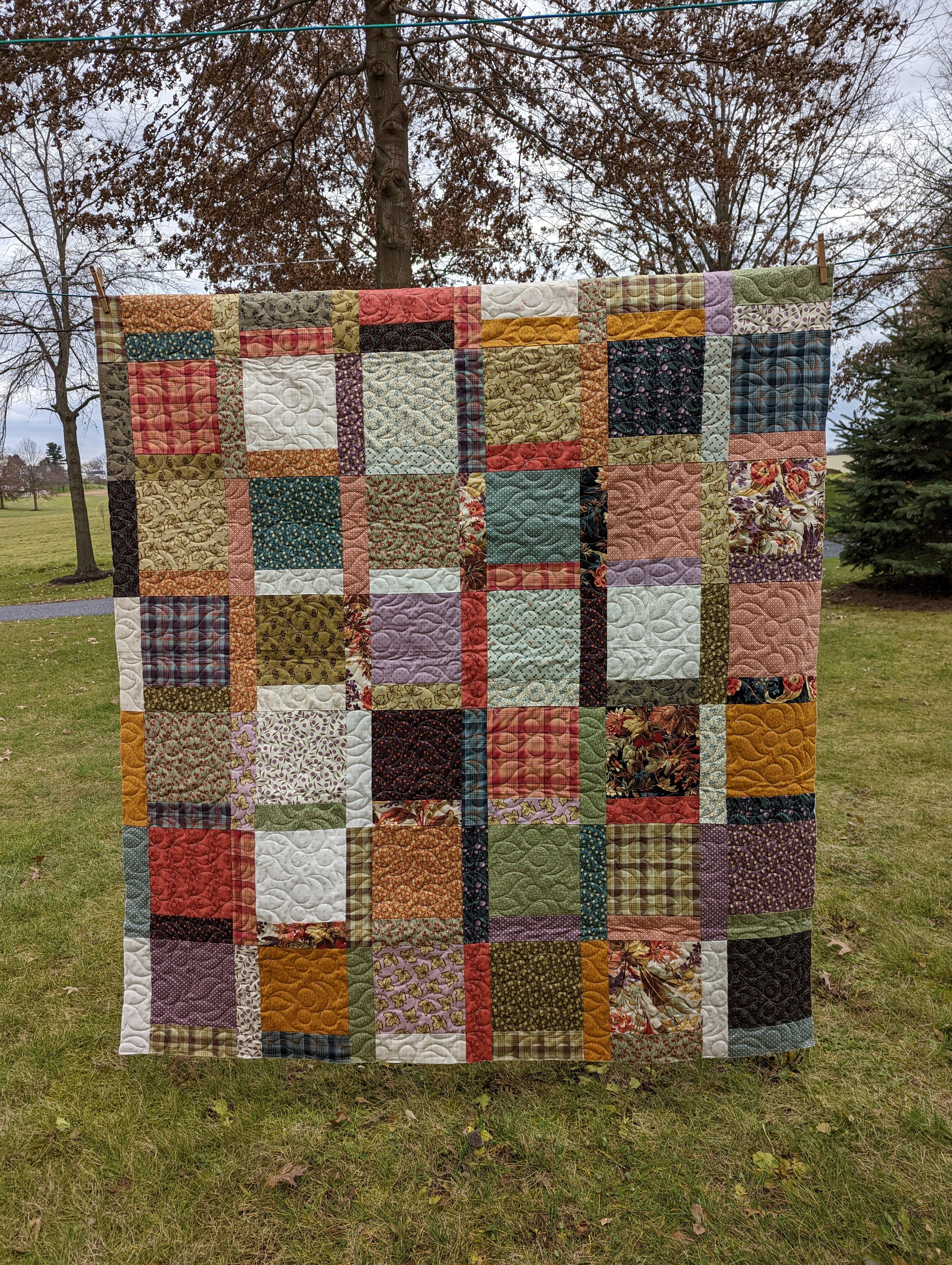 Wispy Leaves and Berries
