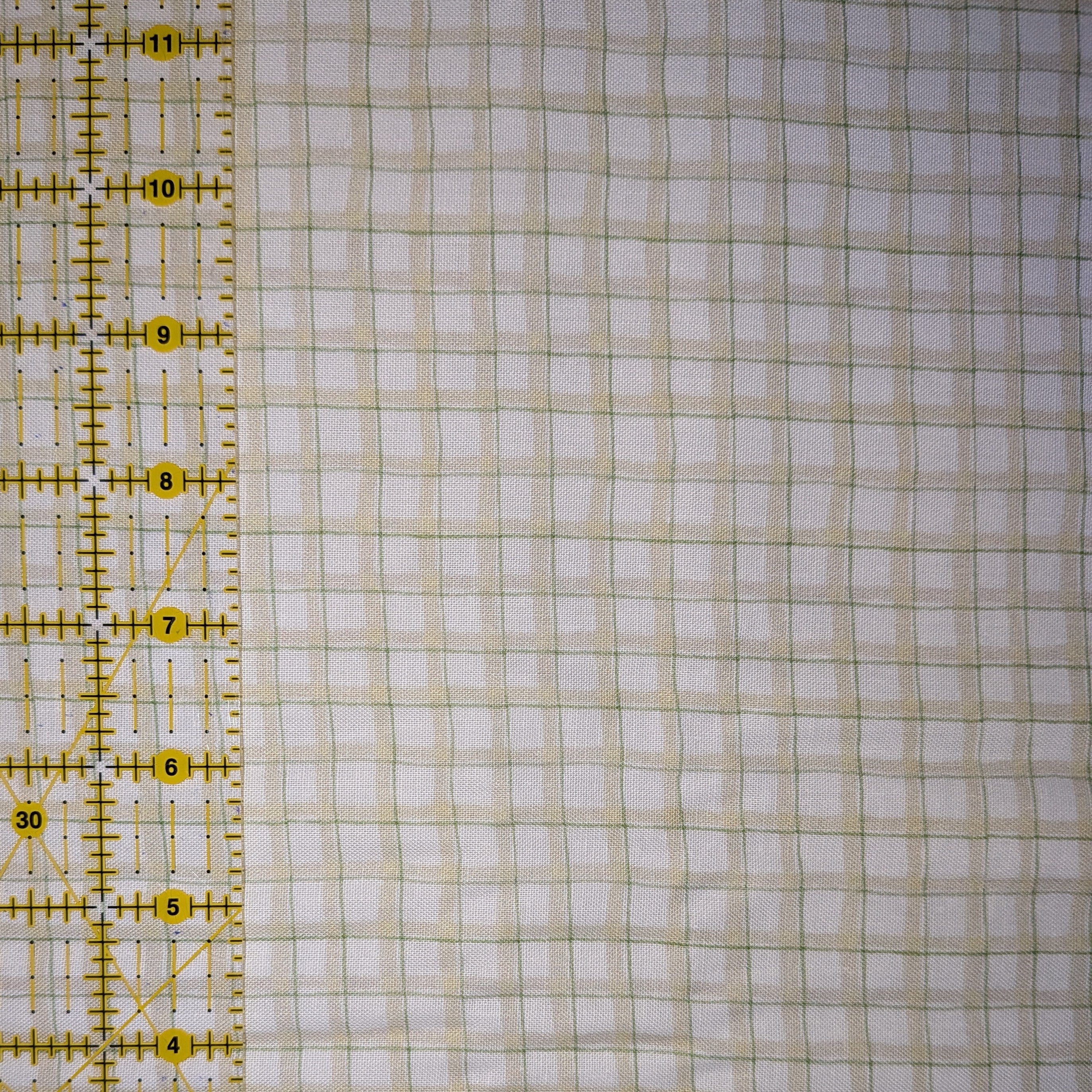 Springs Creative ~ Mushrooms ~ PLAID ~ (Licensed Print) ~ Green and White ~ Sold by the 1/2 Yard