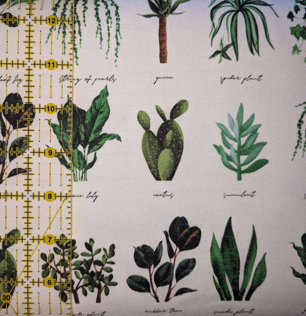 David Textiles ~ PLANT NAMES (Potpourri of Novelty) ~ White & Green ~ Sold by the 1/2 Yard