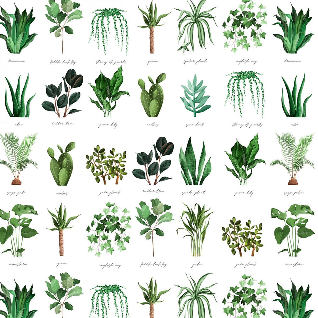 David Textiles ~ PLANT NAMES (Potpourri of Novelty) ~ White & Green ~ Sold by the 1/2 Yard