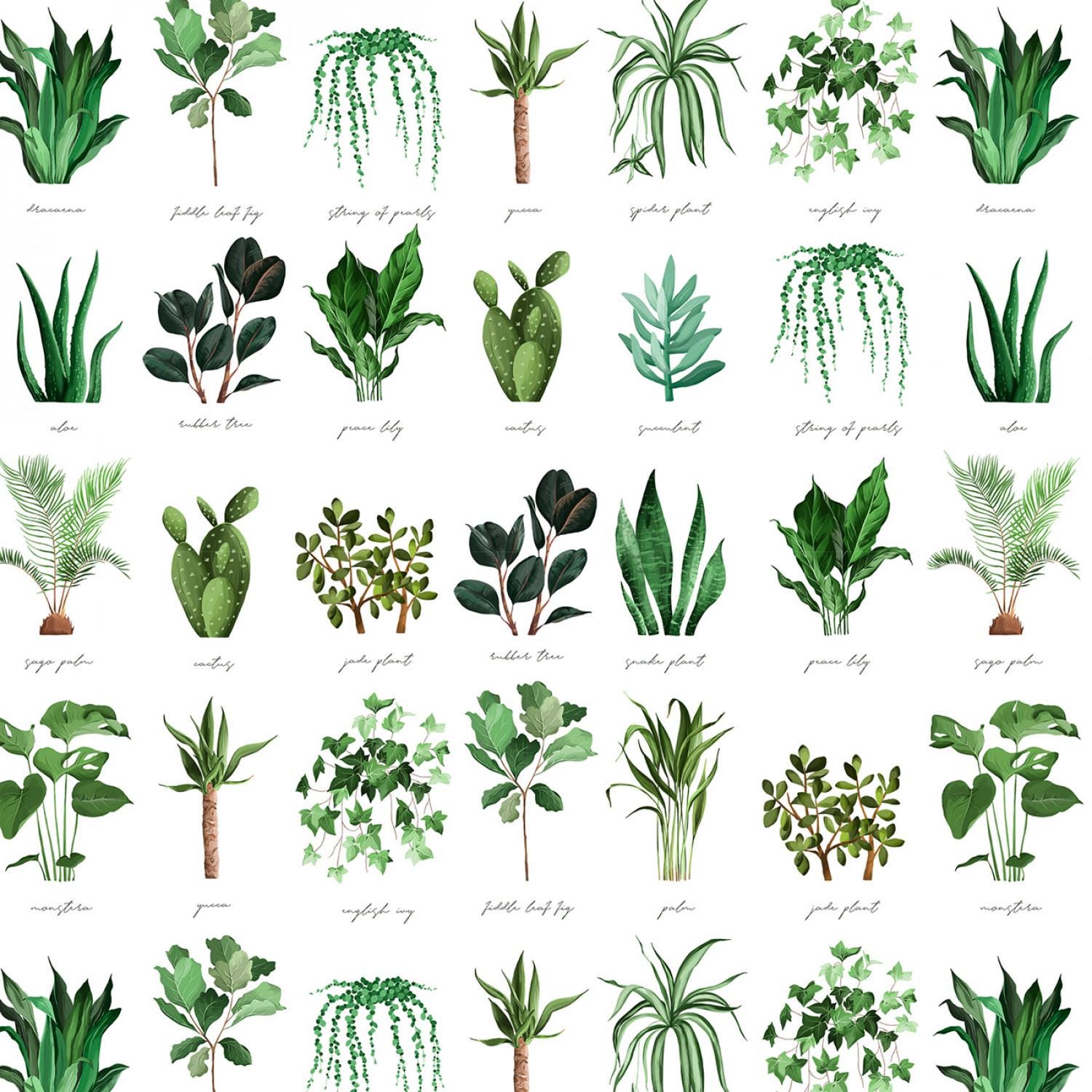 David Textiles ~ PLANT NAMES (Potpourri of Novelty) ~ White & Green ~ Sold by the 1/2 Yard