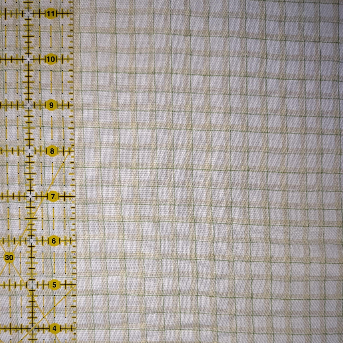 Springs Creative ~ Mushrooms ~ PLAID ~ (Licensed Print) ~ Green and White ~ Sold by the 1/2 Yard